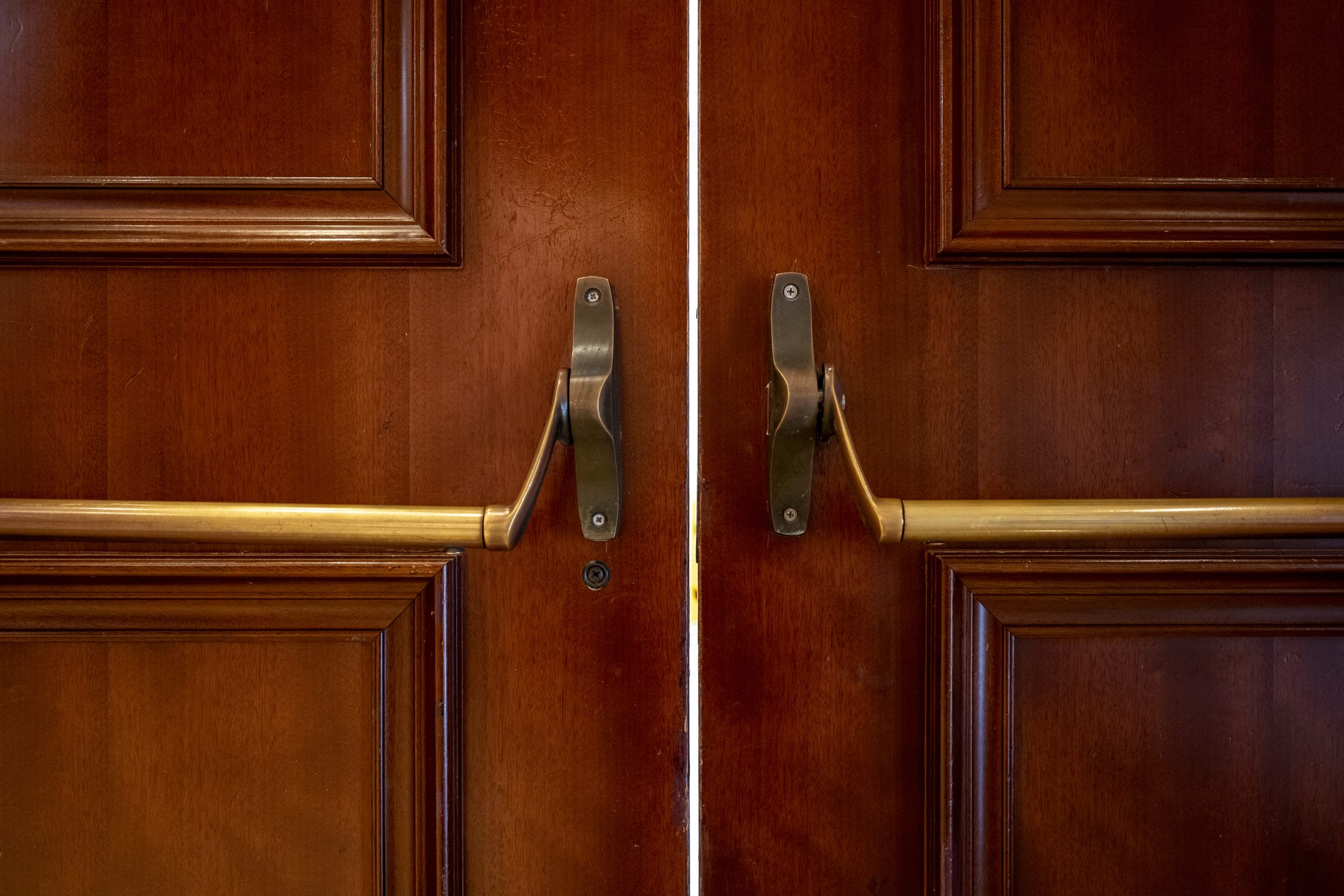 Double wooden commercial doors with brass push bars and traditional panel detailing.